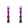 Title Tubeless Ventile Purple